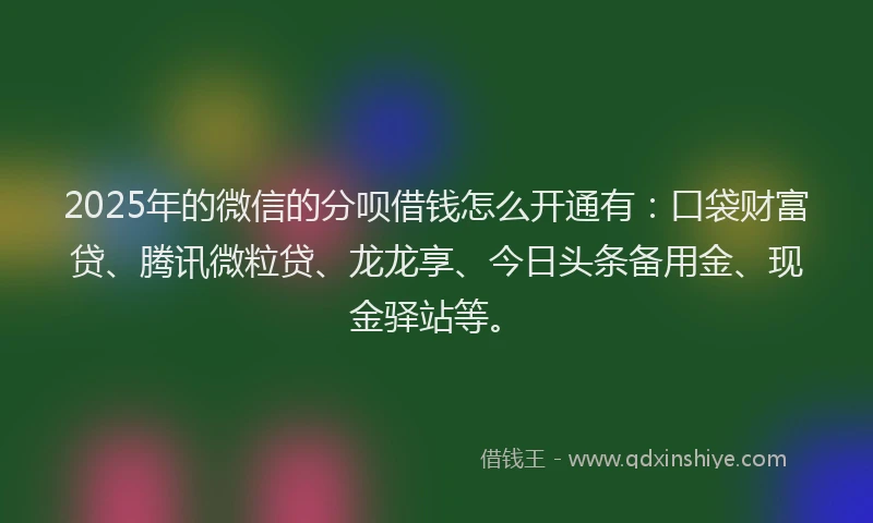 2025年的微信的分呗借钱怎么开通有：口袋财富贷、腾讯微粒贷、龙龙享、今日头条备用金、现金驿站等。