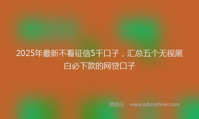 2025年最新不看征信5千口子，汇总五个无视黑白必下款的网贷口子