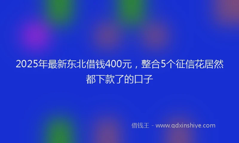 2025年最新东北借钱400元，整合5个征信花居然都下款了的口子