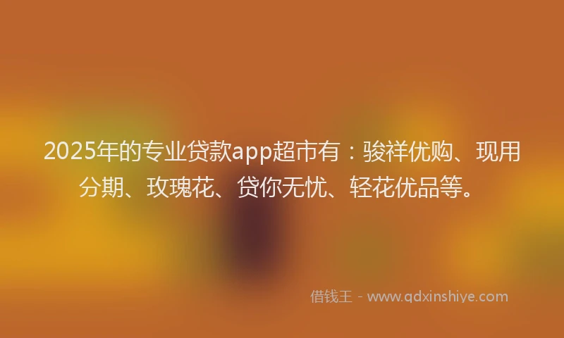 2025年的专业贷款app超市有：骏祥优购、现用分期、玫瑰花、贷你无忧、轻花优品等。