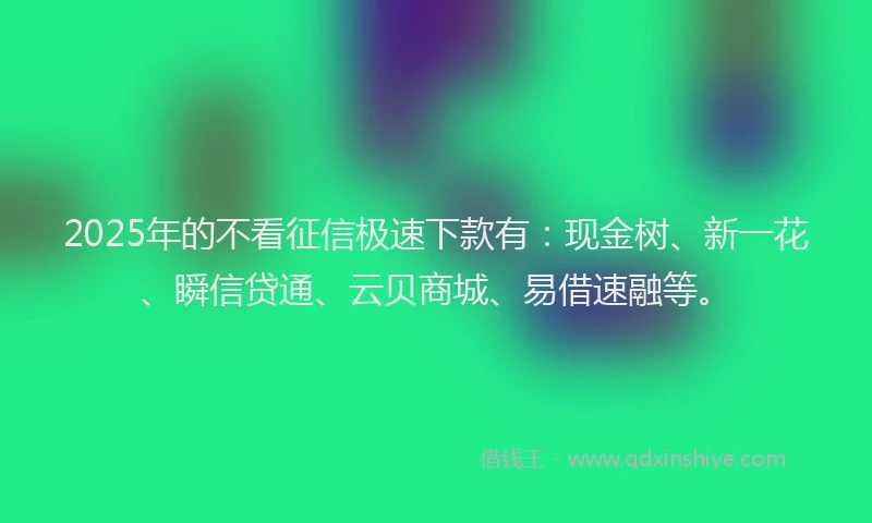 2025年的不看征信极速下款有:现金树、新一花、瞬信贷通、云贝商城、易借速融等。