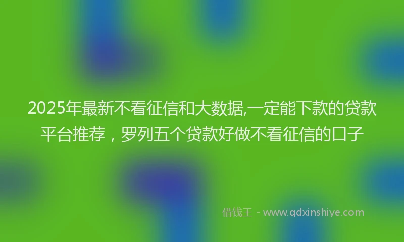 2025年最新不看征信和大数据,一定能下款的贷款平台推荐，罗列五个贷款好做不看征信的口子