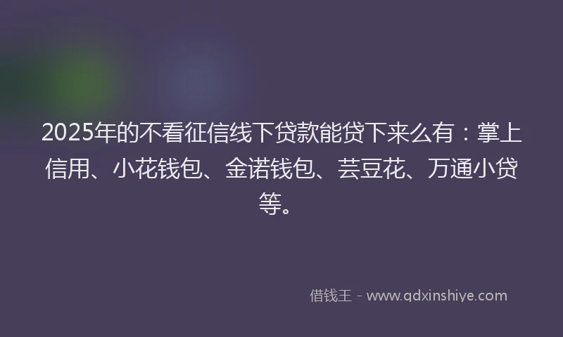2025年的不看征信线下贷款能贷下来么有：掌上信用、小花钱包、金诺钱包、芸豆花、万通小贷等。
