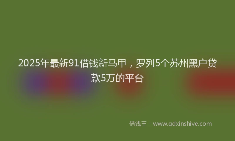 2025年最新91借钱新马甲，罗列5个苏州黑户贷款5万的平台