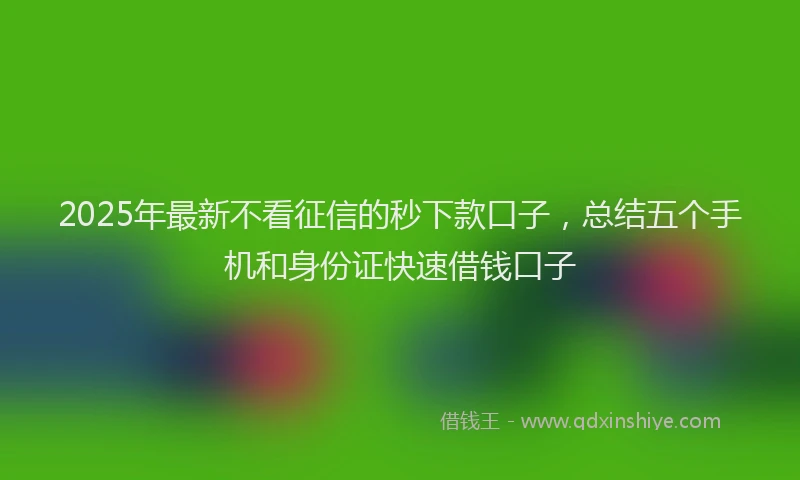2025年最新不看征信的秒下款口子，总结五个手机和身份证快速借钱口子
