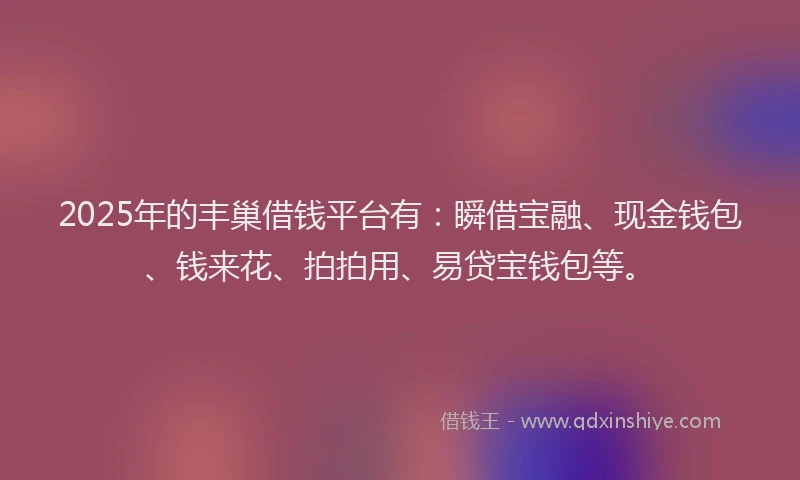 2025年的丰巢借钱平台有：瞬借宝融、现金钱包、钱来花、拍拍用、易贷宝钱包等。