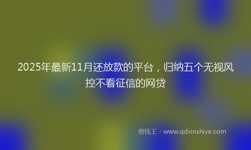2025年最新11月还放款的平台，归纳五个无视风控不看征信的网贷