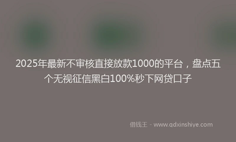 2025年最新不审核直接放款1000的平台，盘点五个无视征信黑白100%秒下网贷口子