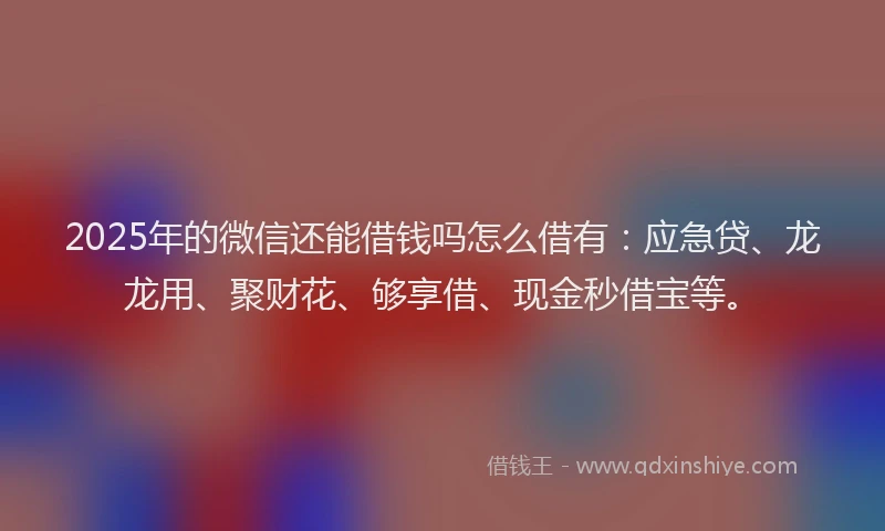2025年的微信还能借钱吗怎么借有：应急贷、龙龙用、聚财花、够享借、现金秒借宝等。