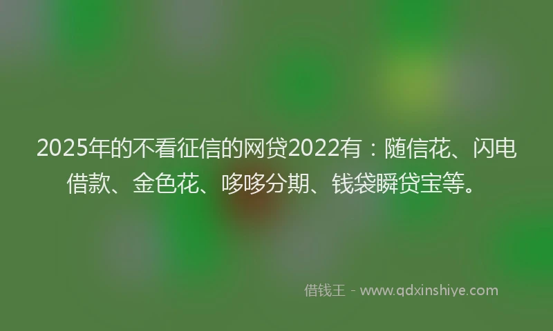 2025年的不看征信的网贷2022有：随信花、闪电借款、金色花、哆哆分期、钱袋瞬贷宝等。