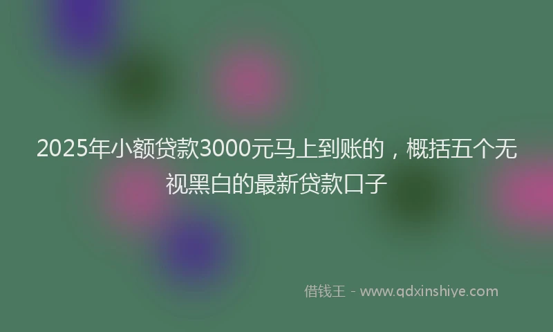 2025年小额贷款3000元马上到账的，概括五个无视黑白的最新贷款口子