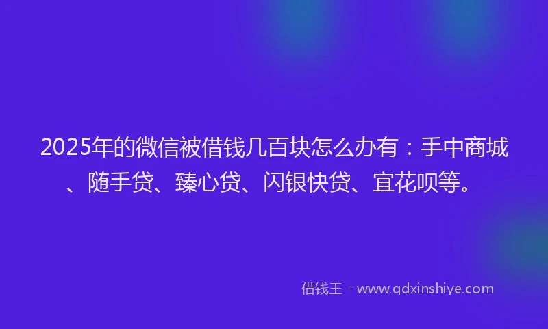 2025年的微信被借钱几百块怎么办有：手中商城、随手贷、臻心贷、闪银快贷、宜花呗等。