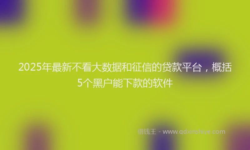 2025年最新不看大数据和征信的贷款平台，概括5个黑户能下款的软件