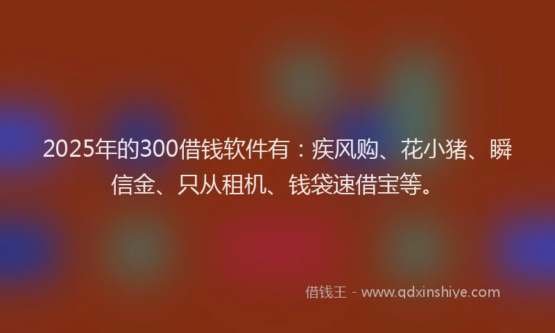 2025年的300借钱软件有：疾风购、花小猪、瞬信金、只从租机、钱袋速借宝等。
