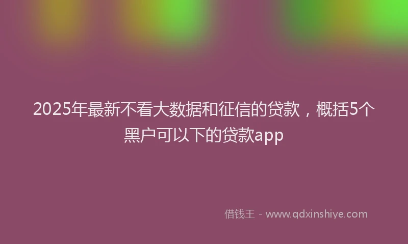 2025年最新不看大数据和征信的贷款，概括5个黑户可以下的贷款app