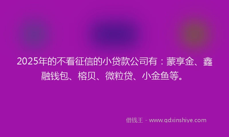 2025年的不看征信的小贷款公司有：蒙享金、鑫融钱包、榕贝、微粒贷、小金鱼等。