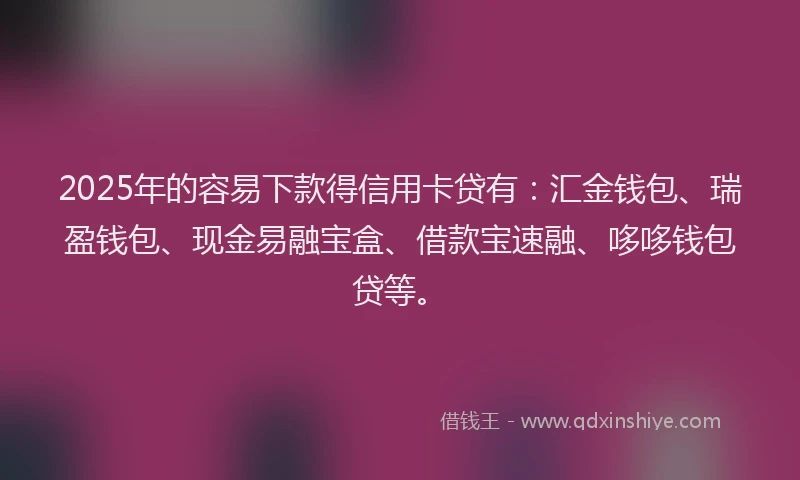 2025年的容易下款得信用卡贷有：汇金钱包、瑞盈钱包、现金易融宝盒、借款宝速融、哆哆钱包贷等。