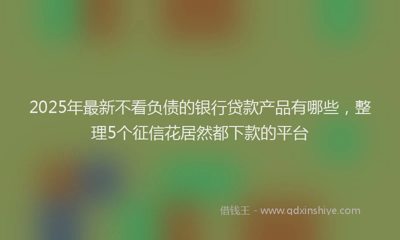 2025年最新不看负债的银行贷款产品有哪些，整理5个征信花居然都下款的平台