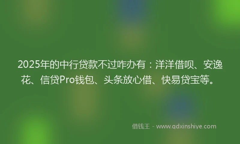 2025年的中行贷款不过咋办有：洋洋借呗、安逸花、信贷Pro钱包、头条放心借、快易贷宝等。