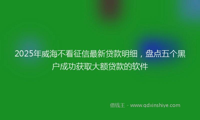 2025年威海不看征信最新贷款明细，盘点五个黑户成功获取大额贷款的软件
