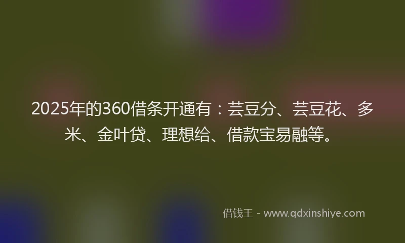 2025年的360借条开通有：芸豆分、芸豆花、多米、金叶贷、理想给、借款宝易融等。