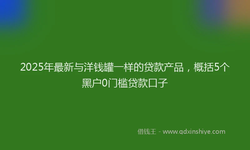 2025年最新与洋钱罐一样的贷款产品，概括5个黑户0门槛贷款口子