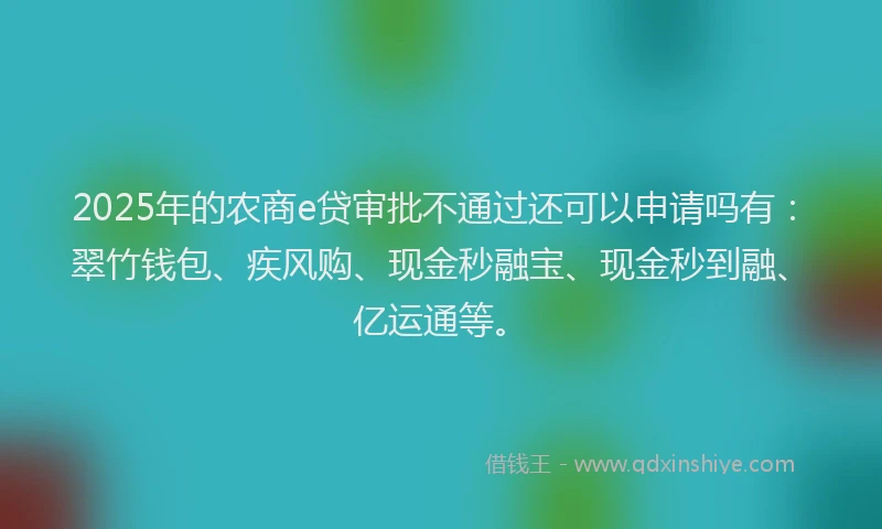 2025年的农商e贷审批不通过还可以申请吗有：翠竹钱包、疾风购、现金秒融宝、现金秒到融、亿运通等。