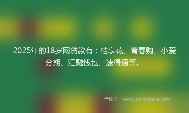 2025年的18岁网贷款有：桔享花、青春购、小爱分期、汇融钱包、速得通等。