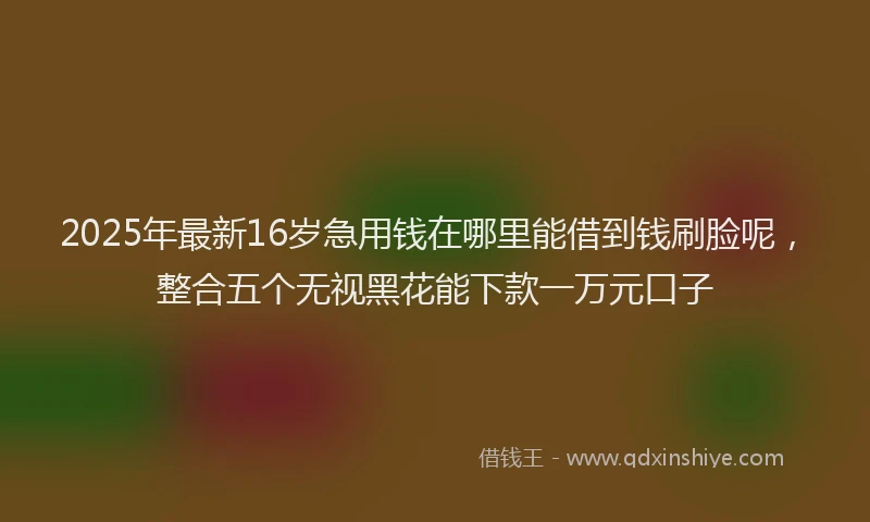 2025年最新16岁急用钱在哪里能借到钱刷脸呢，整合五个无视黑花能下款一万元口子