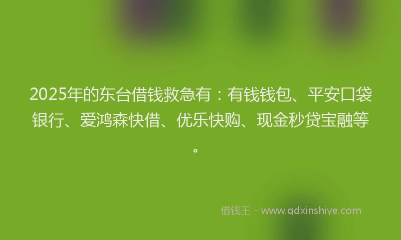 2025年的东台借钱救急有：有钱钱包、平安口袋银行、爱鸿森快借、优乐快购、现金秒贷宝融等。