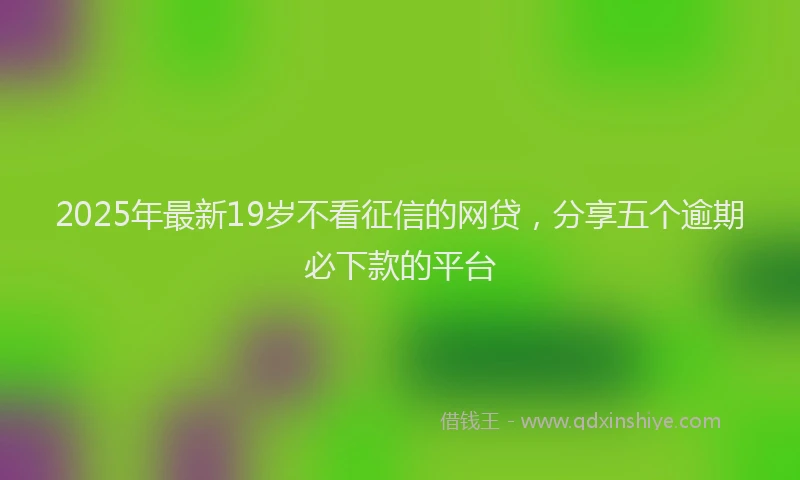 2025年最新19岁不看征信的网贷，分享五个逾期必下款的平台