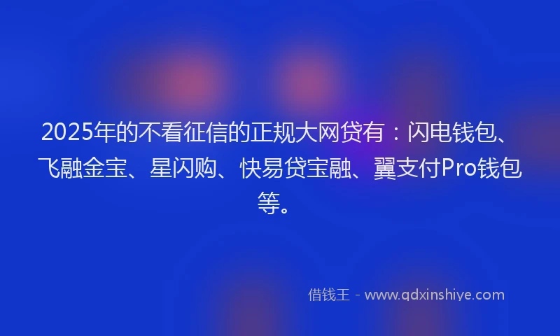 2025年的不看征信的正规大网贷有：闪电钱包、飞融金宝、星闪购、快易贷宝融、翼支付Pro钱包等。