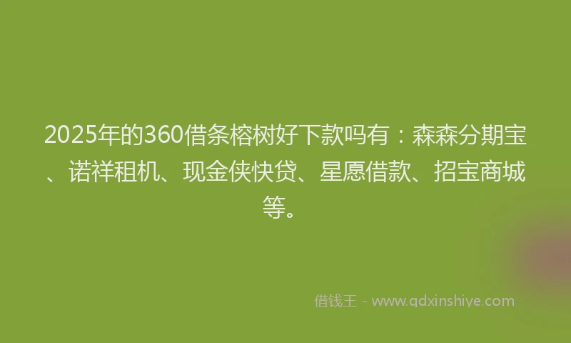 2025年的360借条榕树好下款吗有：森森分期宝、诺祥租机、现金侠快贷、星愿借款、招宝商城等。