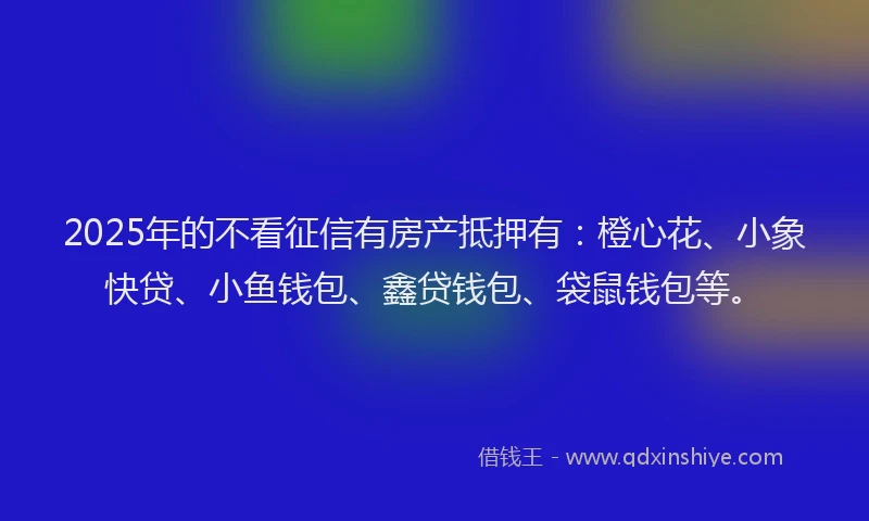 2025年的不看征信有房产抵押有：橙心花、小象快贷、小鱼钱包、鑫贷钱包、袋鼠钱包等。