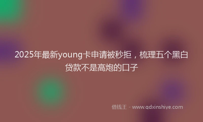 2025年最新young卡申请被秒拒，梳理五个黑白贷款不是高炮的口子