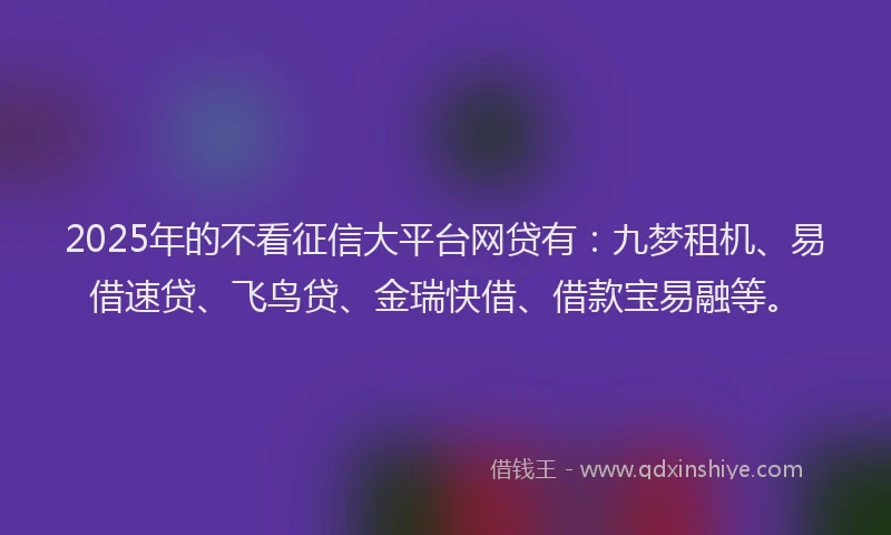 2025年的不看征信大平台网贷有：九梦租机、易借速贷、飞鸟贷、金瑞快借、借款宝易融等。