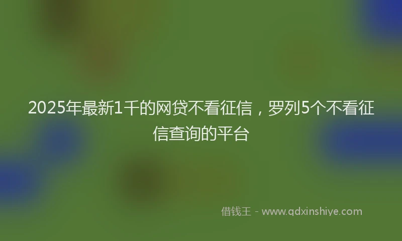 2025年最新1千的网贷不看征信，罗列5个不看征信查询的平台