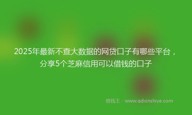 2025年最新不查大数据的网贷口子有哪些平台，分享5个芝麻信用可以借钱的口子