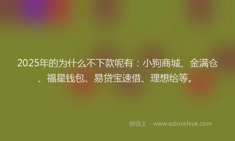 2025年的为什么不下款呢有：小狗商城、金满仓、福星钱包、易贷宝速借、理想给等。