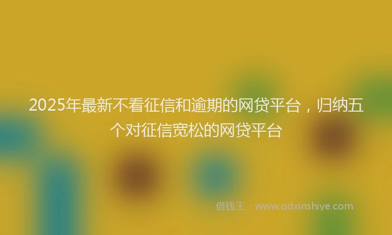 2025年最新不看征信和逾期的网贷平台，归纳五个对征信宽松的网贷平台