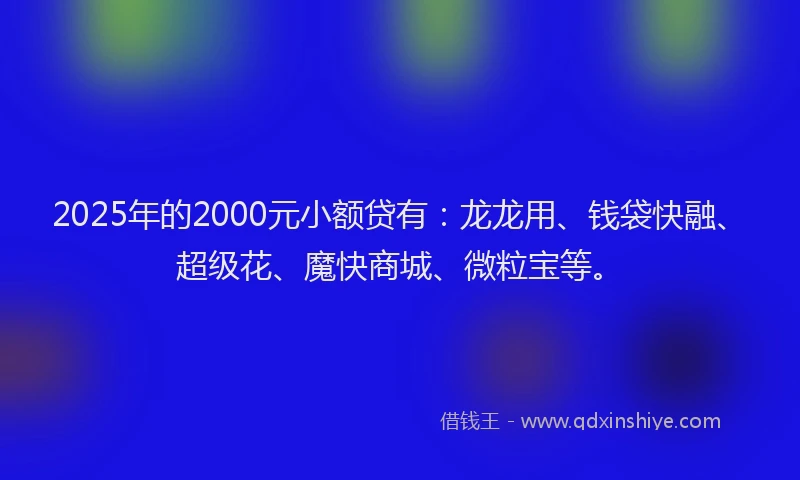 2025年的2000元小额贷有：龙龙用、钱袋快融、超级花、魔快商城、微粒宝等。