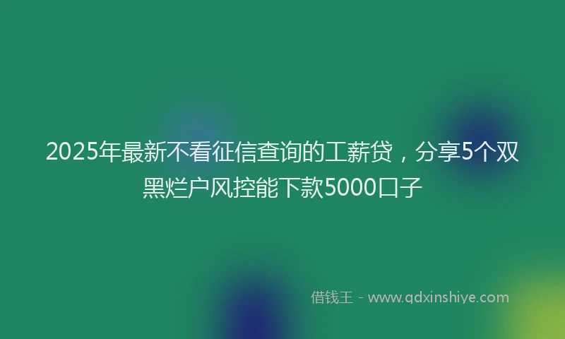 2025年最新不看征信查询的工薪贷，分享5个双黑烂户风控能下款5000口子