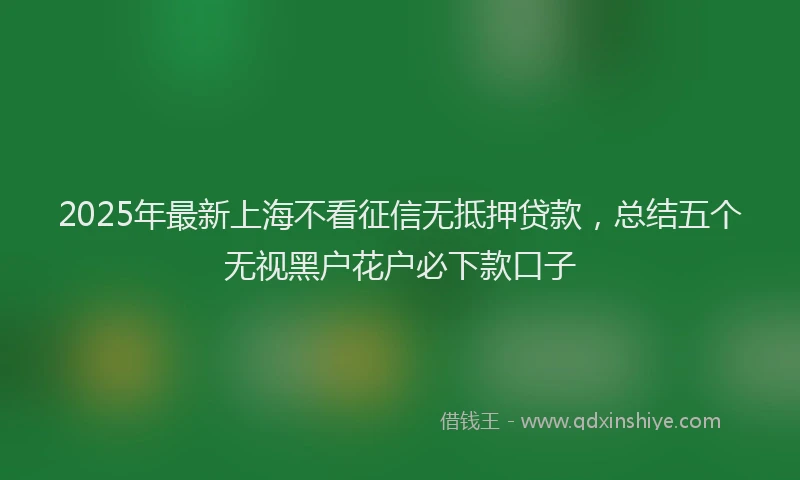 2025年最新上海不看征信无抵押贷款，总结五个无视黑户花户必下款口子