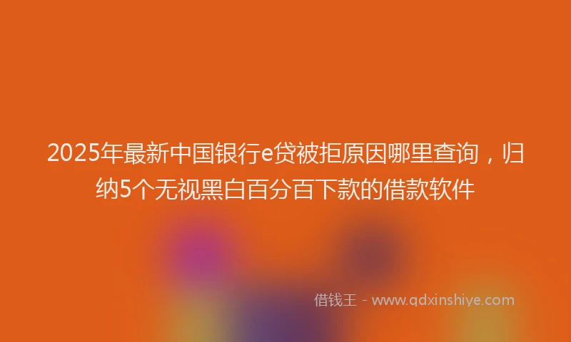 2025年最新中国银行e贷被拒原因哪里查询，归纳5个无视黑白百分百下款的借款软件