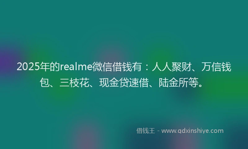 2025年的realme微信借钱有：人人聚财、万信钱包、三枝花、现金贷速借、陆金所等。