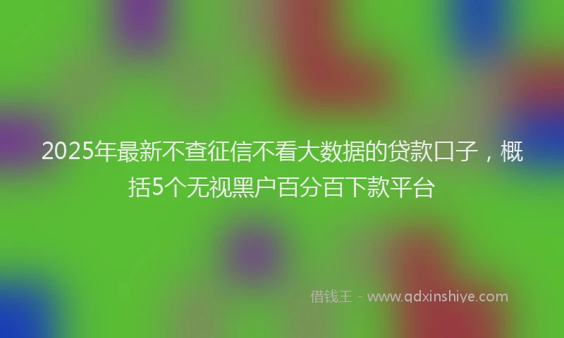 2025年最新不查征信不看大数据的贷款口子，概括5个无视黑户百分百下款平台