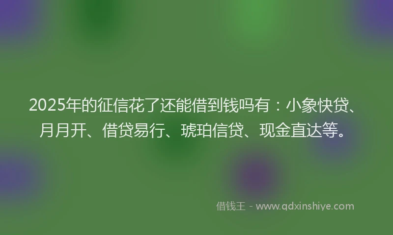 2025年的征信花了还能借到钱吗有：小象快贷、月月开、借贷易行、琥珀信贷、现金直达等。