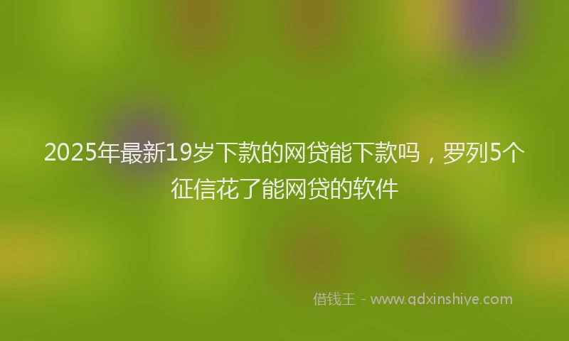 2025年最新19岁下款的网贷能下款吗，罗列5个征信花了能网贷的软件