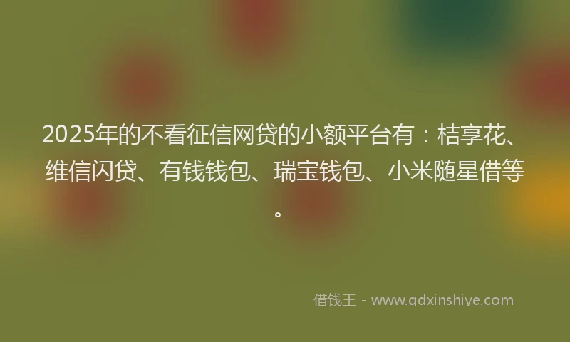 2025年的不看征信网贷的小额平台有：桔享花、维信闪贷、有钱钱包、瑞宝钱包、小米随星借等。