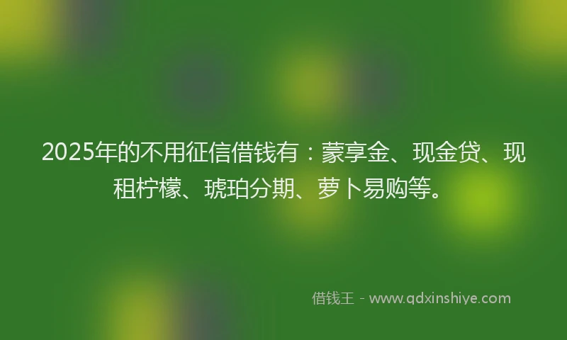 2025年的不用征信借钱有：蒙享金、现金贷、现租柠檬、琥珀分期、萝卜易购等。